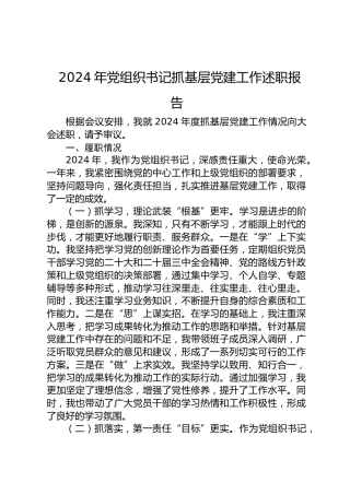 2024年党组织书记抓基层党建工作述职报告（2）