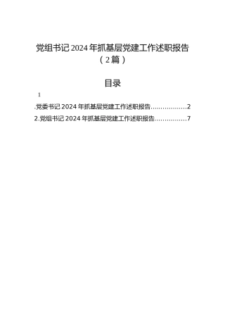 党组书记2024年抓基层党建工作述职报告（2篇）