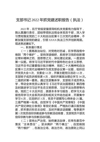 支部书记2022年抓党建述职报告（执法）
