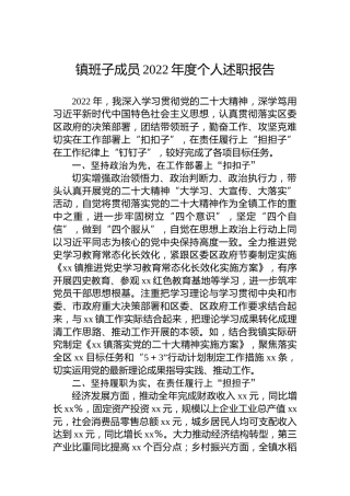镇班子成员2022年度个人述职报告
