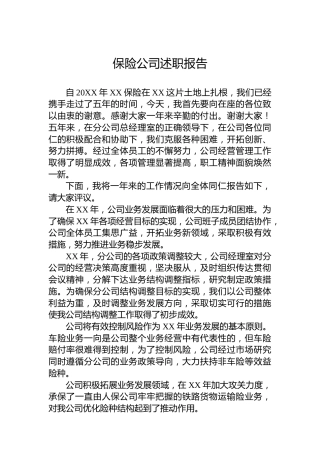 保险公司述职报告2