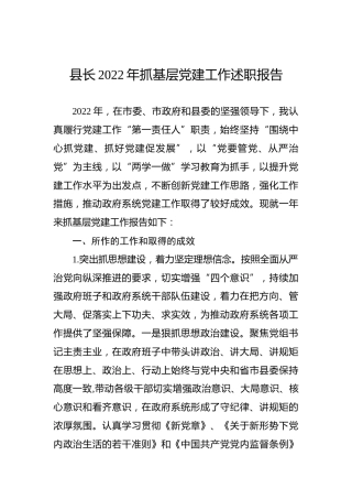 县长2022年抓基层党建工作述职报告