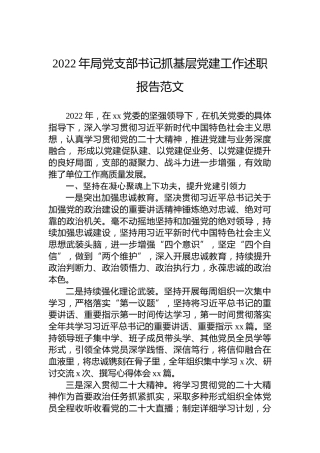 2022年局党支部书记抓基层党建工作述职报告范文