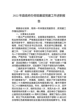 2022年县政府办党组基层党建工作述职报告