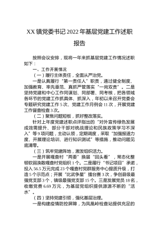 XX镇党委书记2022年基层党建工作述职报告