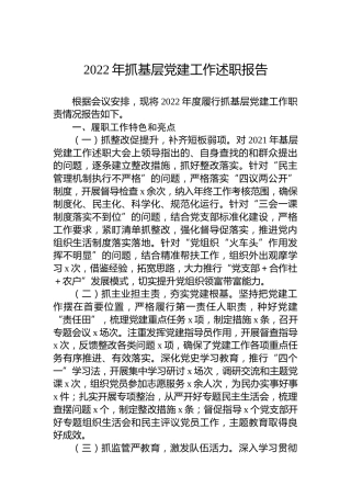 2022年抓基层党建工作述职报告