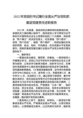 2022年党组织书记履行全面从严治党和抓基层党建责任述职报告