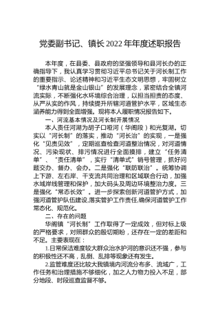党委副书记、镇长2022年述职报告