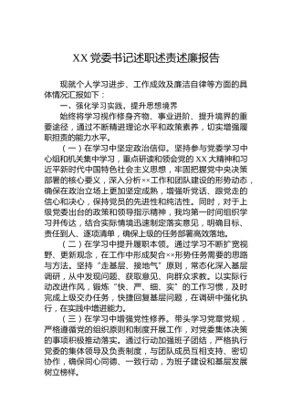 XX党委书记2024年述职述责述廉报告