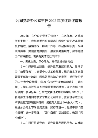 公司党委办公室主任2022年度述职述廉报告