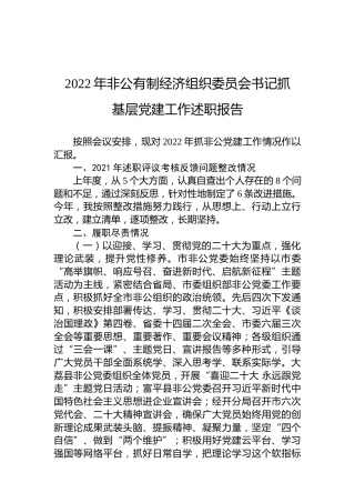2022年非公有制经济组织委员会书记抓基层党建工作述职报告