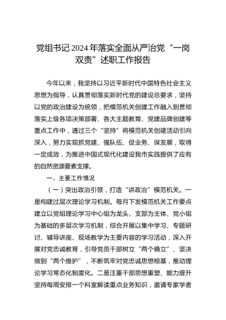 党组书记2024年落实全面从严治党“一岗双责”述职工作报告