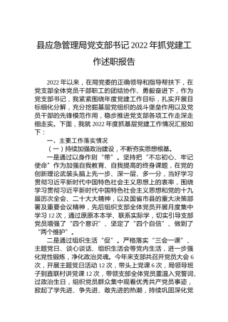 县应急管理局党支部书记2022年抓党建工作述职报告