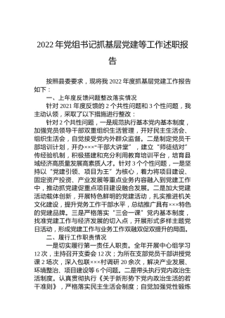 2022年党组书记抓基层党建等工作述职报告