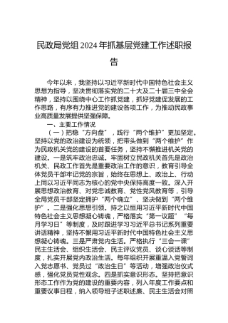 民政局党组2024年抓基层党建工作述职报告