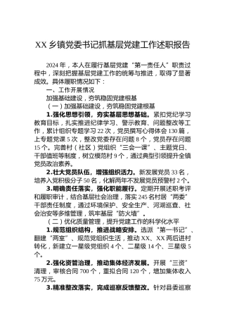 XX乡镇党委书记2024年抓基层党建工作述职报告