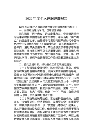 2022年度个人述职述廉报告