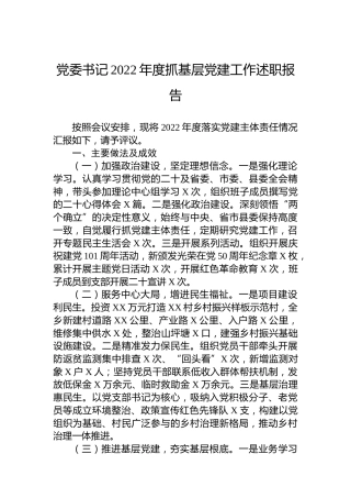 党委书记2022年度抓基层党建工作述职报告