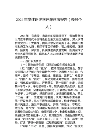 2024年度述职述学述廉述法报告_（领导个人）