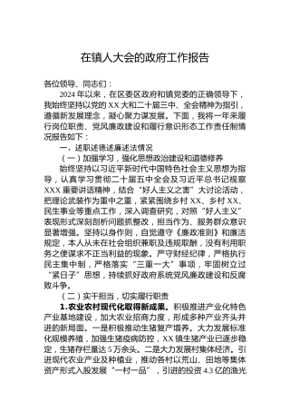 在镇人大会的政府工作报告