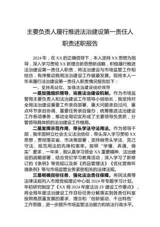 主要负责人履行推进法治建设第一责任人职责述职报告