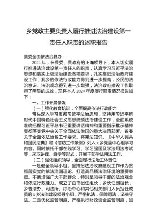 乡党政主要负责人履行推进法治建设第一责任人职责的述职报告