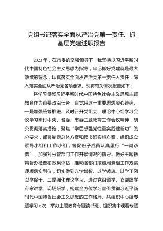 党组书记落实全面从严治党第一责任、抓基层党建述职报告