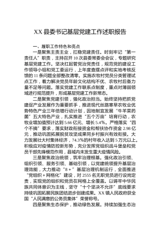 XX县委书记基层党建工作述职报告