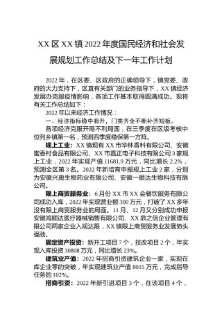 X镇2022年度国民经济和社会发展规划工作总结及下一年工作计划（20230109）