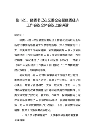 副市长、区委书记在区委全会暨区委经济工作会议全体会议上的讲话