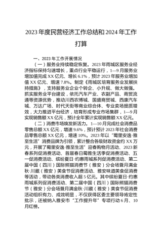 2023年度民营经济工作总结和2024年工作打算