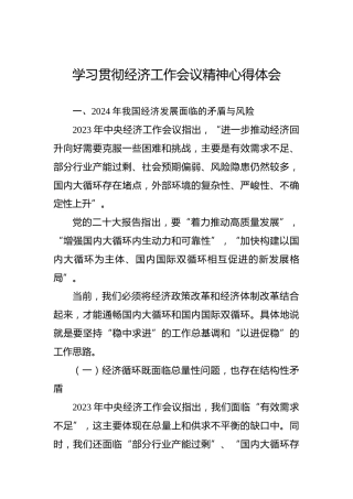 （2024）学习贯彻经济工作会议精神心得体会