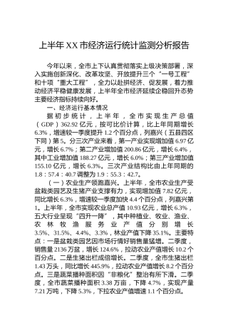 2023年上半年XX市经济运行统计监测分析报告