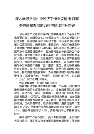 深入学习贯彻中央经济工作会议精神 以商务高质量发展助力经济持续回升向好