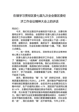 在镇学习贯彻区委七届九次全会暨区委经济工作会议精神大会上的讲话
