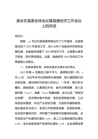 县长在2024年县委全体会议暨县委经济工作会议上的讲话
