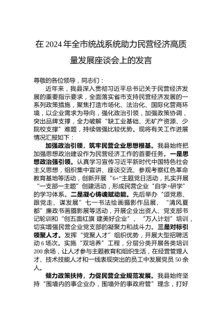 在2024年全市统战系统助力民营经济高质量发展座谈会上的发言