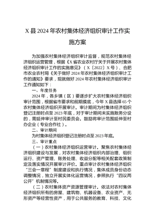X县2024年农村集体经济组织审计工作实施方案