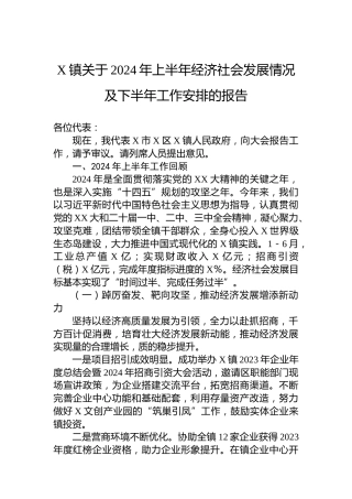 X镇关于2024年上半年经济社会发展情况及下半年工作安排的报告