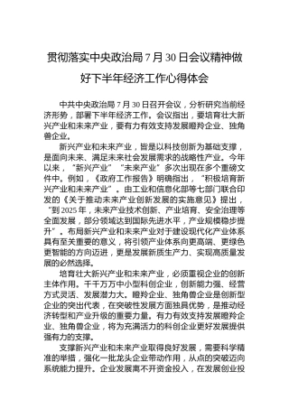 贯彻落实中央政治局7月30日会议精神做好下半年经济工作心得体会