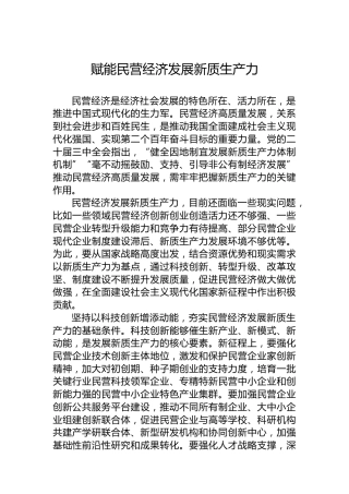 赋能民营经济发展新质生产力