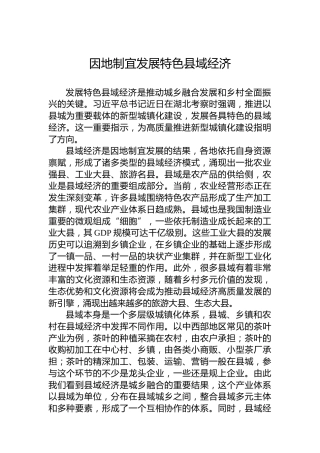因地制宜发展特色县域经济