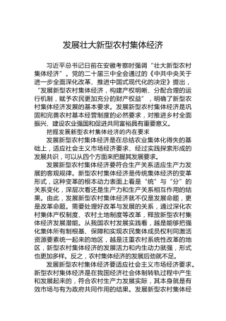 发展壮大新型农村集体经济