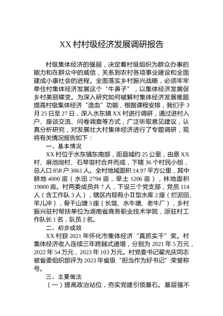 XX村村级经济发展调研报告