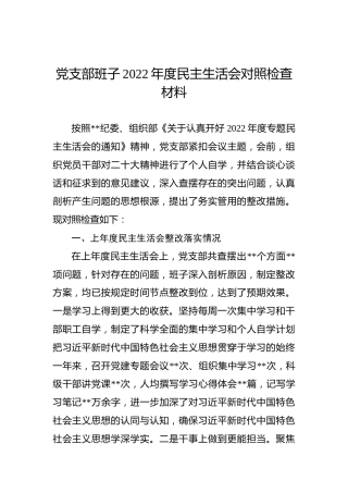 党支部班子2022年度民主生活会对照检查材料