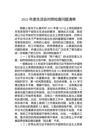 2022年度民主生活会对照检查问题清单