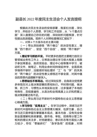 副县长2022年度民主生活会个人发言提纲