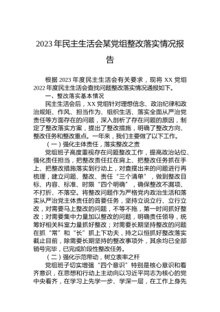 2023年民主生活会某党组整改落实情况报告