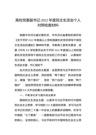高校党委副书记2022年度民主生活会个人对照检查材料