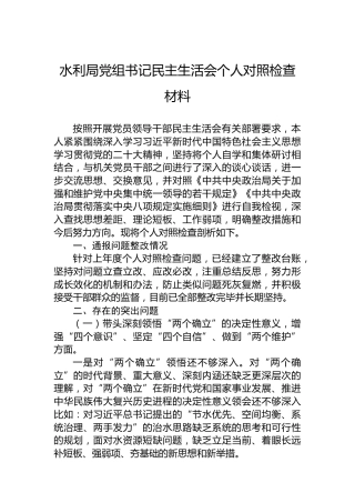 2022年度水利局党组书记民主生活会个人对照检查材料